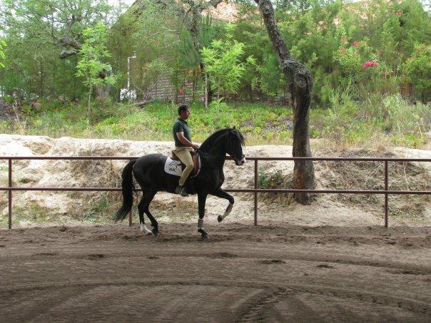 Vila Coudelaria Vale Pau Coruche Pokoj fotografie