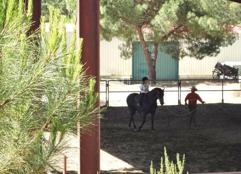 Vila Coudelaria Vale Pau Coruche Pokoj fotografie