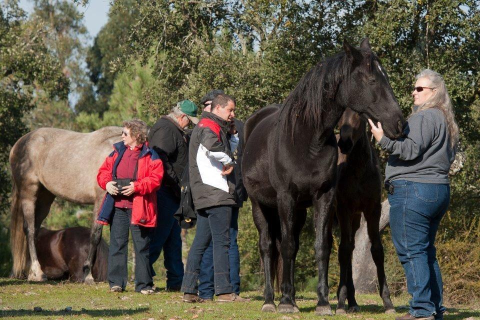 Vila Coudelaria Vale Pau Coruche Exteriér fotografie