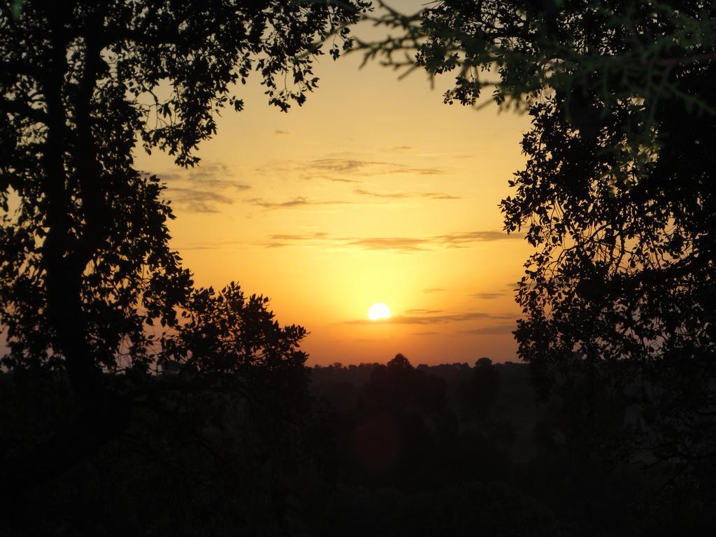 Vila Coudelaria Vale Pau Coruche Pokoj fotografie